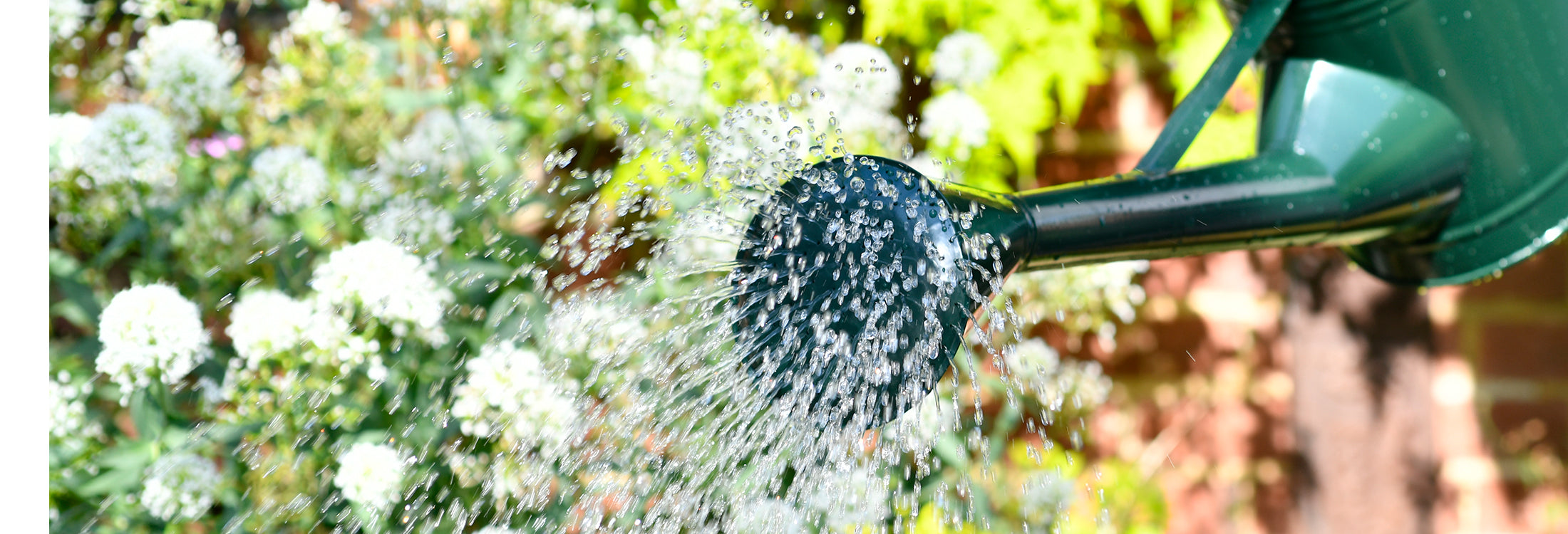 Watering Cans