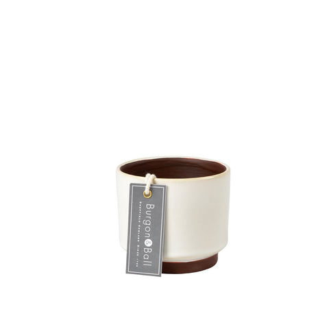 Malibu cream succulent pot by Burgon & Ball