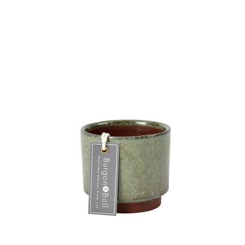 Malibu green succulent pot by Burgon & Ball