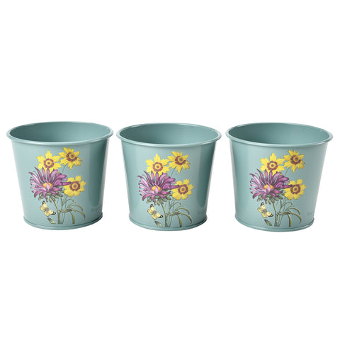 Burgon & Ball RHS Gifts for Gardeners 'Asteraceae' set of three herb pots